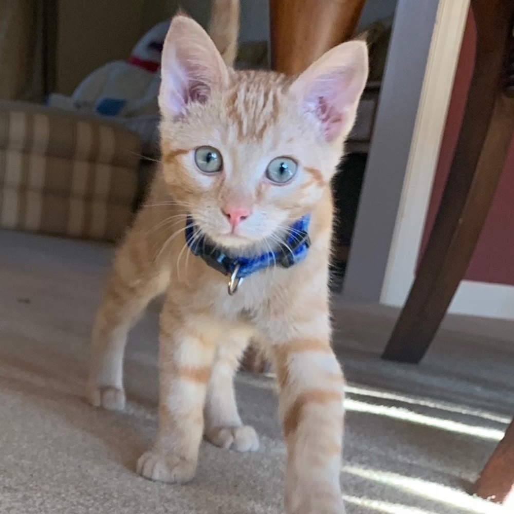 Meet your Posher, Kaleigh